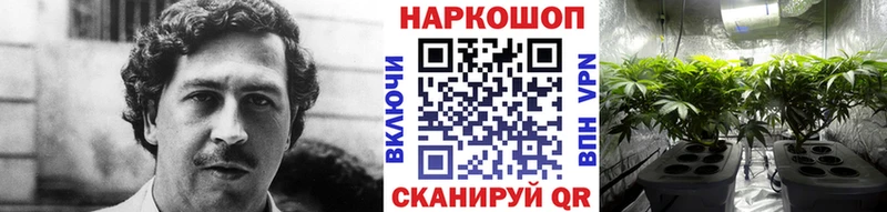 Наркота Трубчевск ГАШИШ Каннабис Галлюциногенные грибы МЕФ КОКАИН