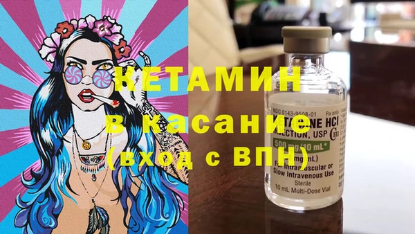 стаф Галич