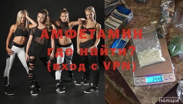 индика Надым