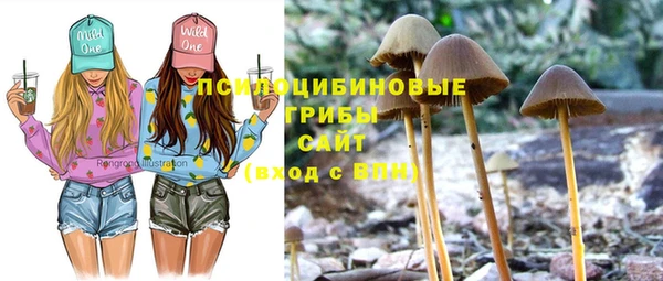гашик Покачи