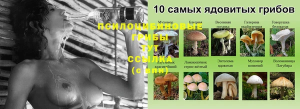 тгк Покровск